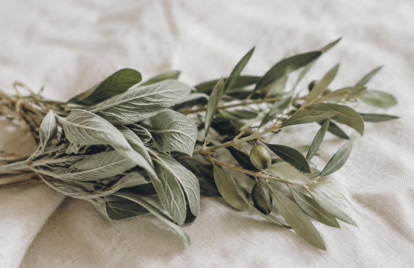Ramas de salvia y olivo sobre lino claro